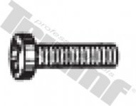 Skrutka M 6 x 20 mm polguľatá PH